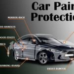 Car Paint Protection