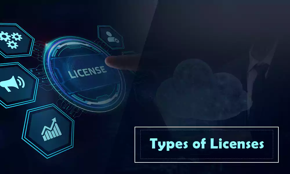 A Guide To The Different Types Of Licenses